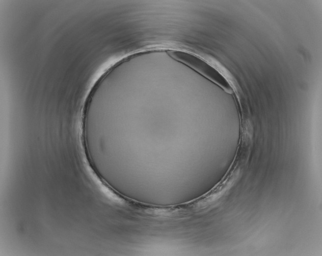 X0000111031005200907161321