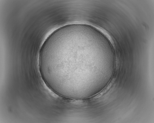 X0000111031006200907161321
