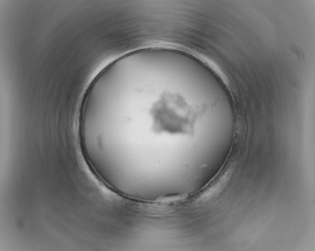 X0000111031007200907161321