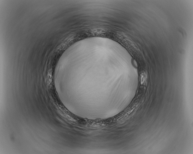 X0000111031011200907161320
