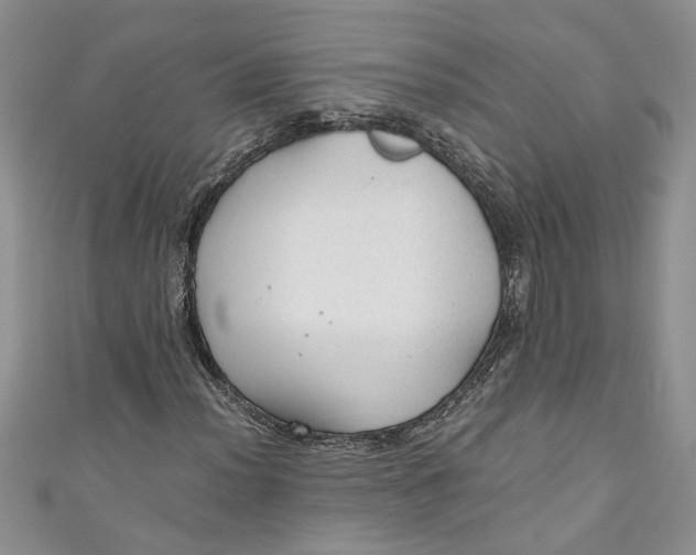 X0000111031012200907161320