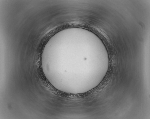 X0000111031015200907161320