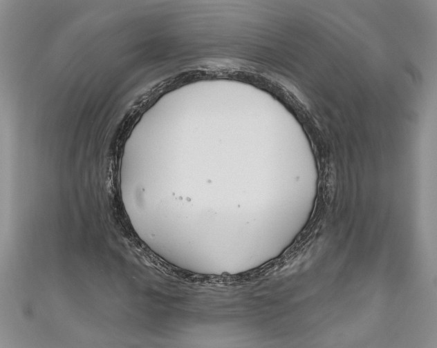 X0000111031016200907161320