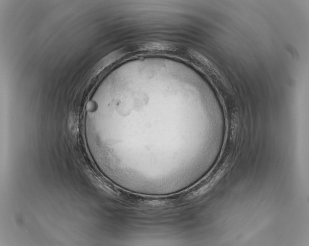 X0000111031017200907161320