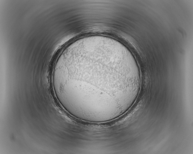 X0000111031018200907161320
