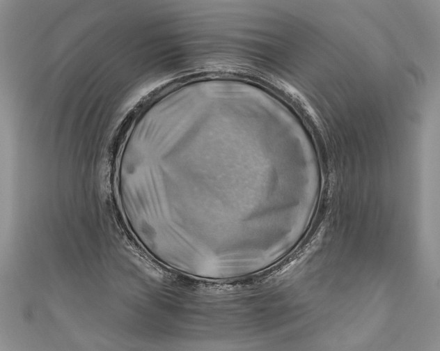 X0000111031019200907161320