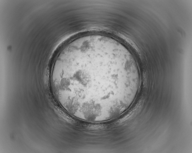 X0000111031021200907161320
