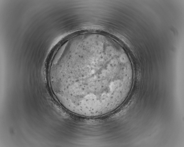 X0000111031022200907161320