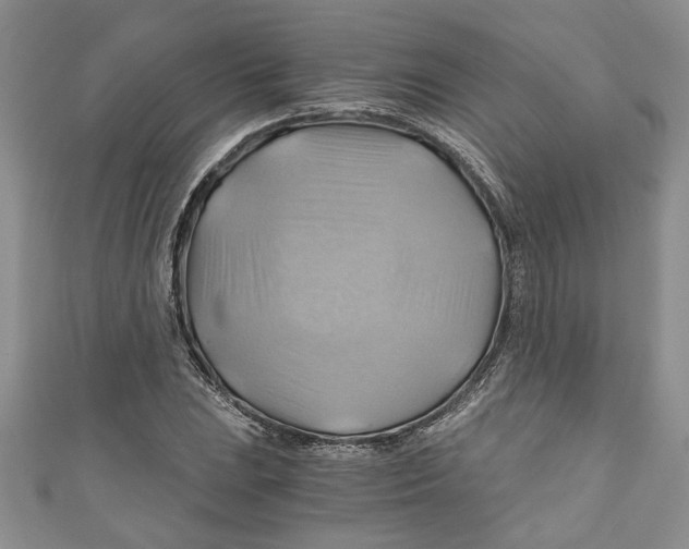 X0000111031023200907161320