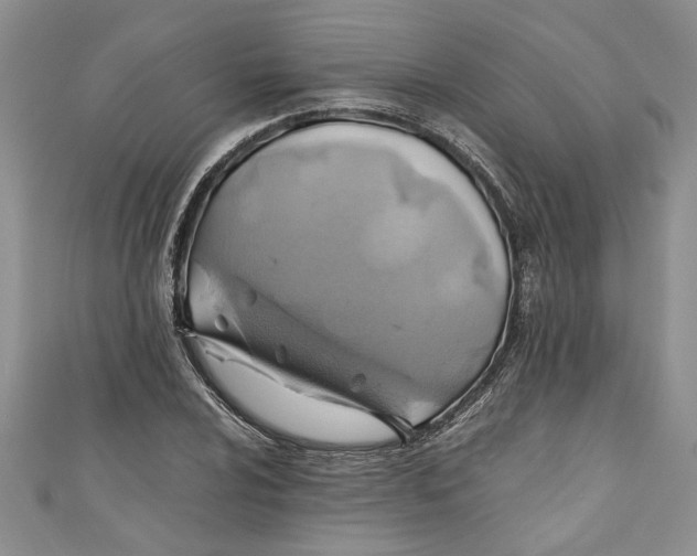 X0000111031024200907161320