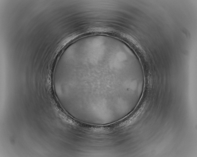 X0000111031025200907161320
