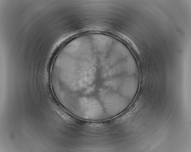 X0000111031027200907161320