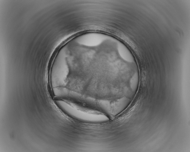 X0000111031028200907161320