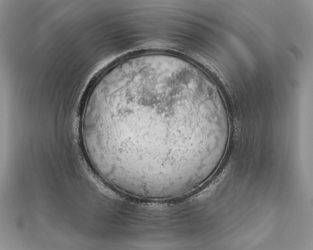 X0000111031029200907161320