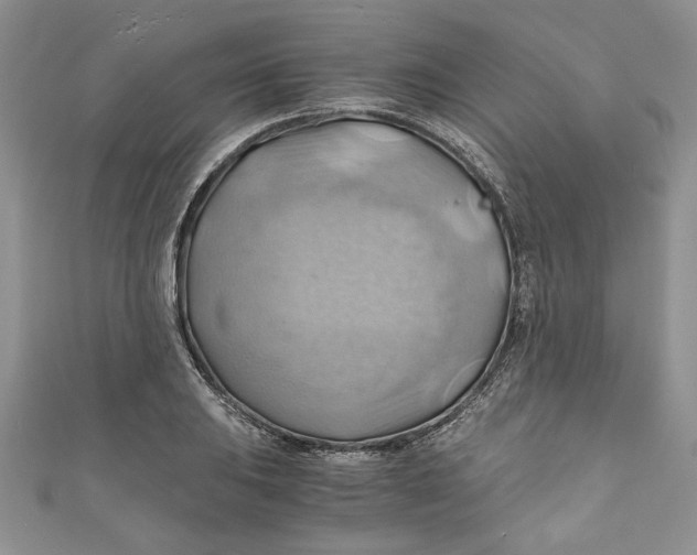 X0000111031031200907161321