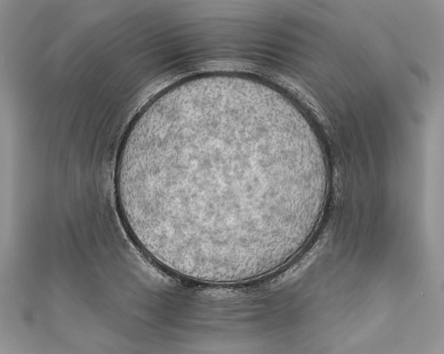 X0000111031033200907161321