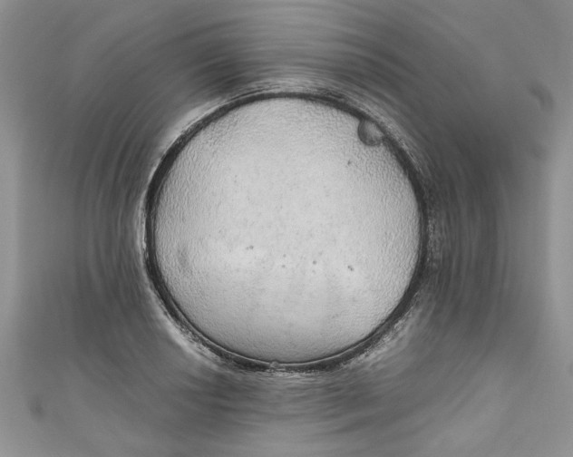X0000111031034200907161321