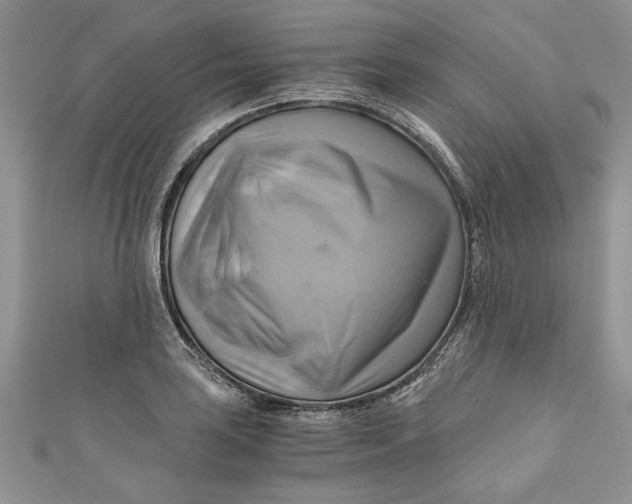 X0000111031035200907161321