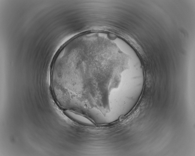X0000111031036200907161321