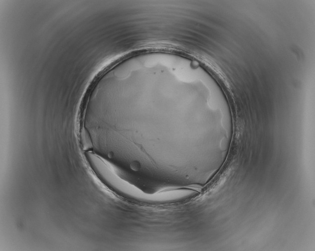 X0000111031037200907161321