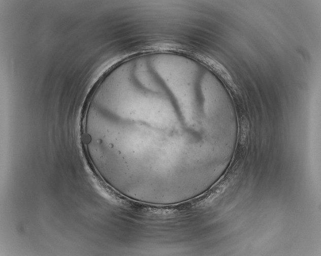 X0000111031039200907161321