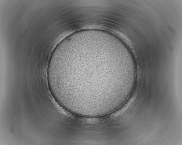 X0000111031041200907161321