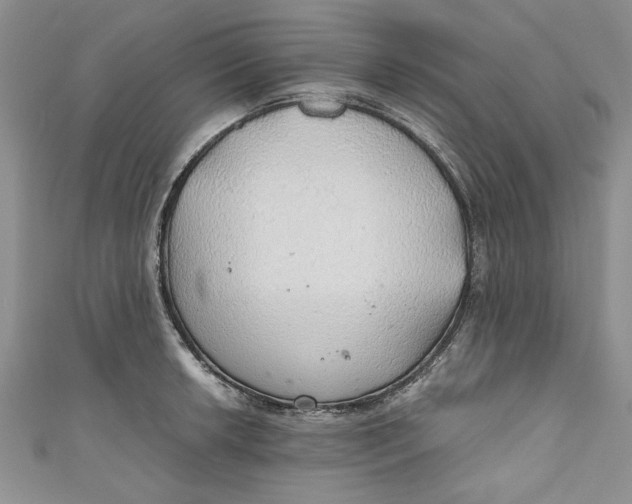 X0000111031042200907161321
