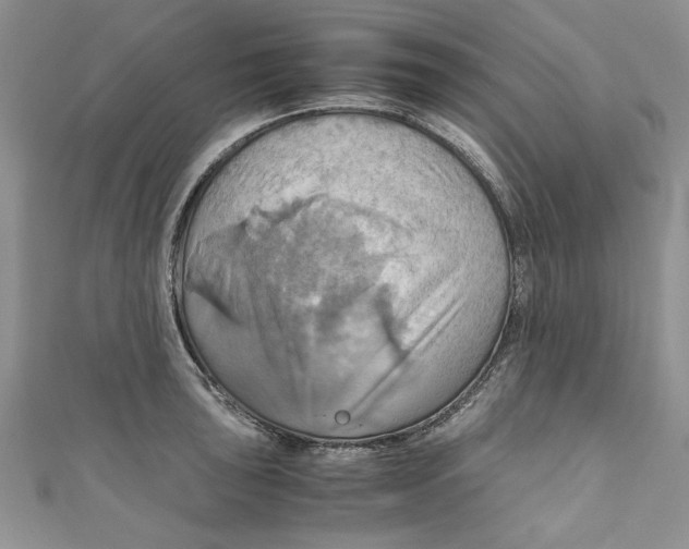 X0000111031043200907161321
