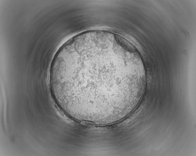 X0000111031044200907161321