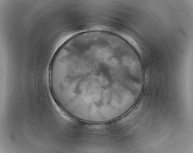 X0000111031047200907161321