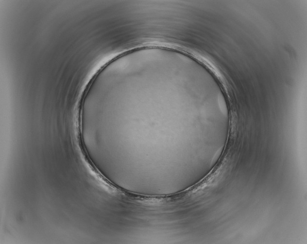 X0000111031048200907161321