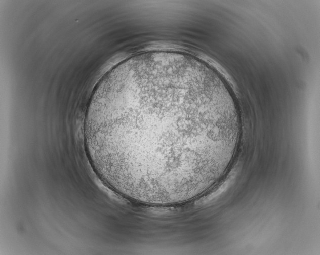 X0000111031049200907161321