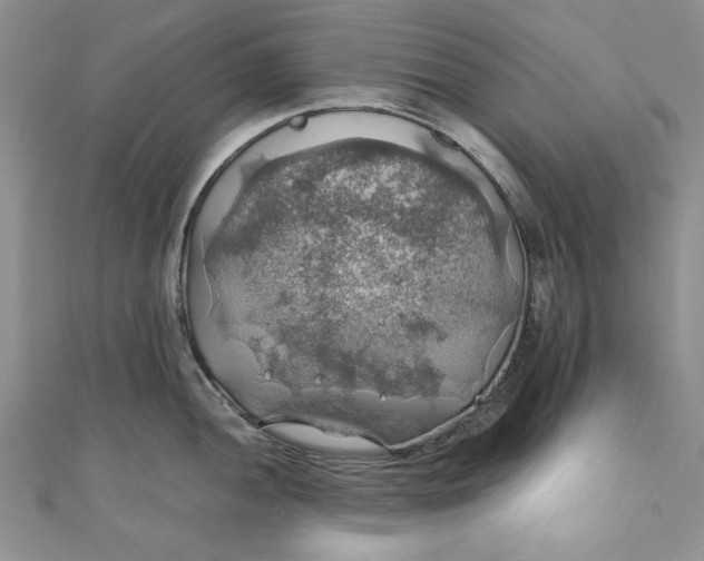 X0000111031052200907161321