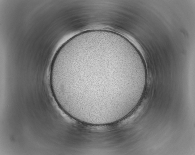 X0000111031053200907161321