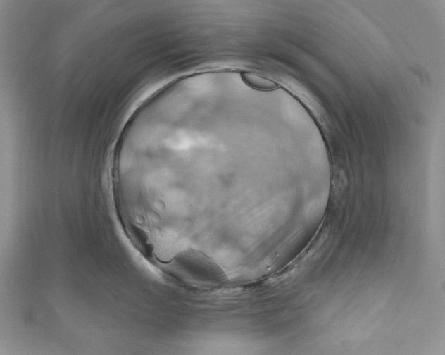 X0000111031055200907161321
