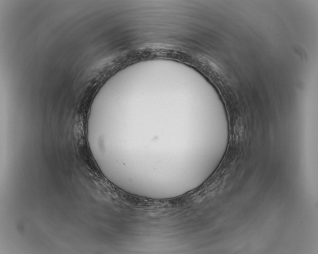 X0000111031062200907161320