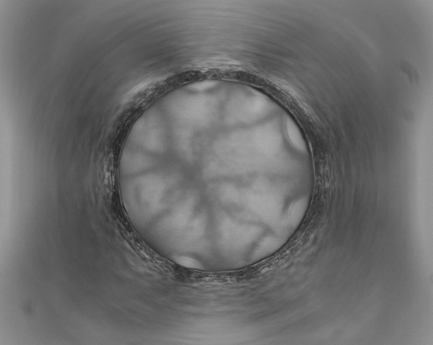 X0000111031063200907161320