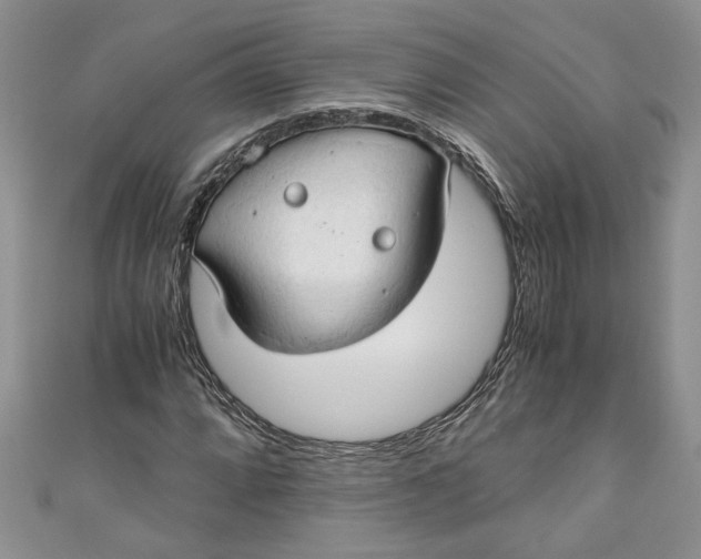 X0000111031064200907161320