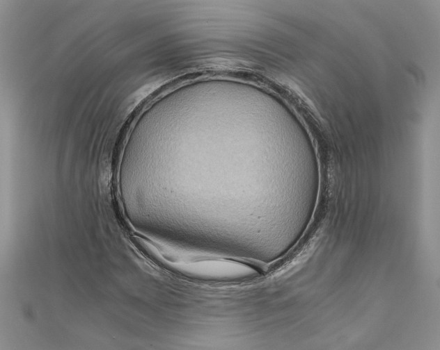 X0000111031065200907161320