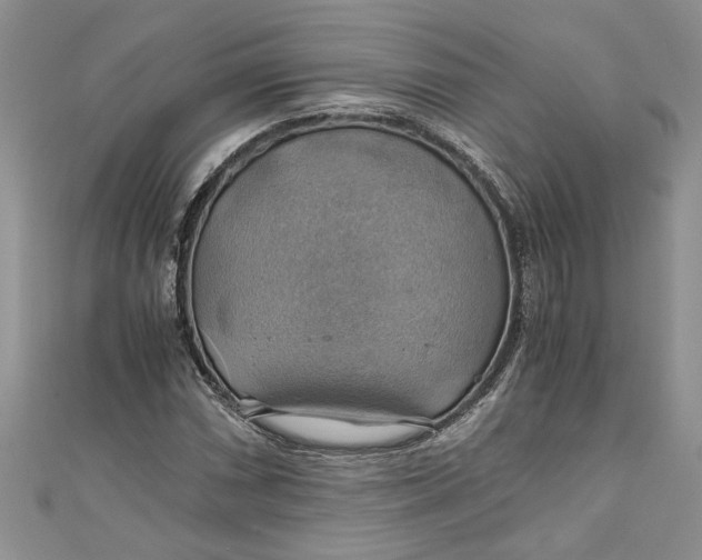 X0000111031066200907161320