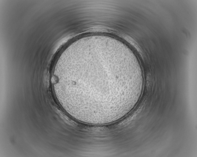 X0000111031067200907161320
