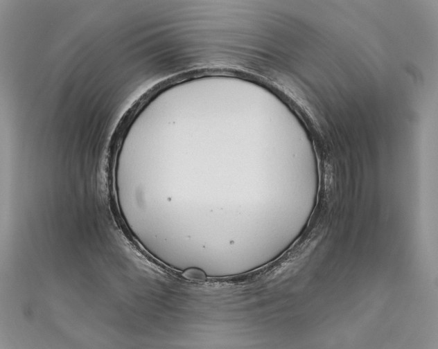 X0000111031068200907161320