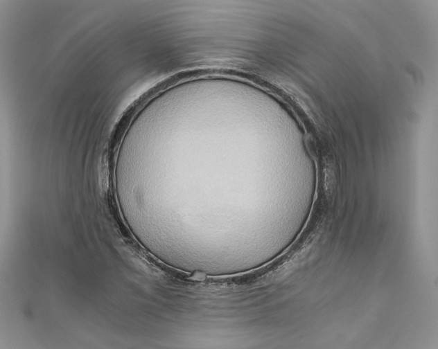 X0000111031069200907161320