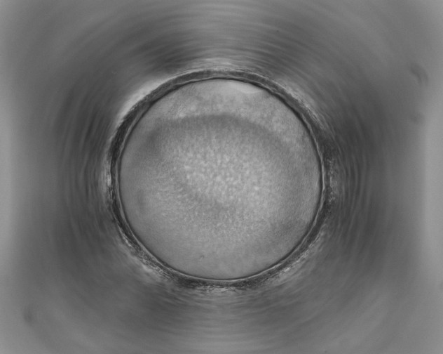 X0000111031070200907161320