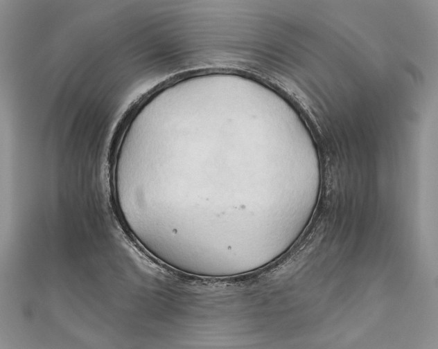 X0000111031072200907161320