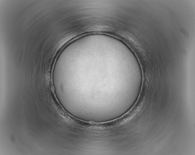 X0000111031073200907161320