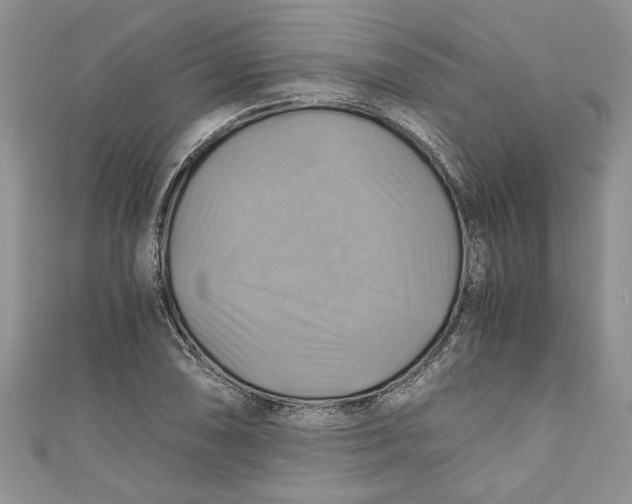 X0000111031074200907161320