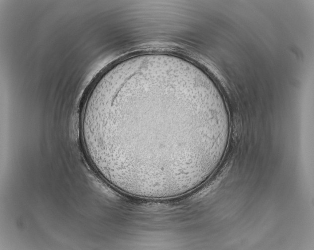 X0000111031075200907161320