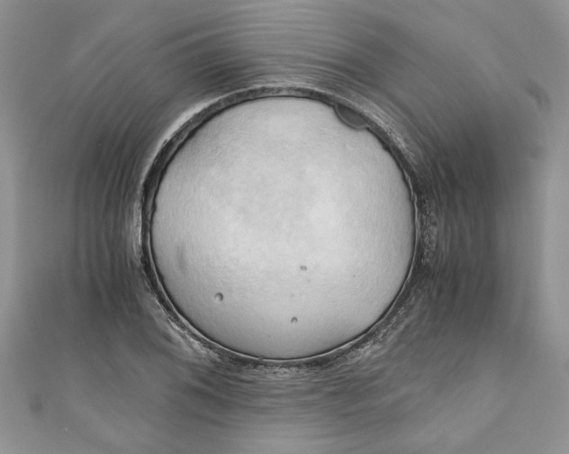 X0000111031076200907161320