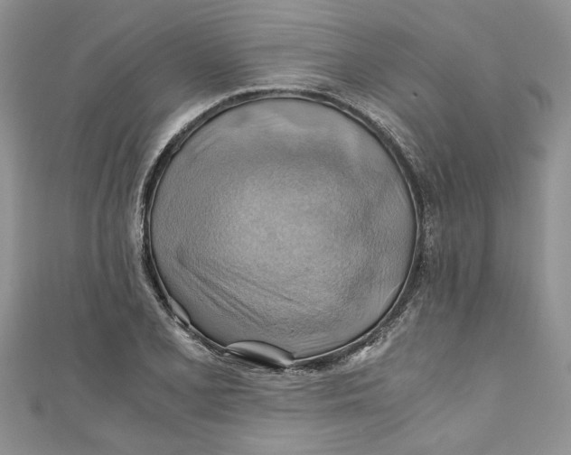 X0000111031077200907161320